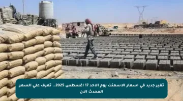 تغير جديد في أسعار الأسمنت يوم الأحد 17 أغسطس 2025.. تعرف على السعر المحدث الآن
